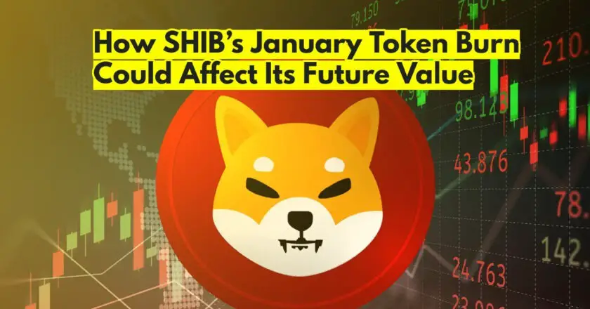 How SHIB’s January Token Burn Could Affect Its Future Value